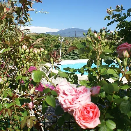 Bed & Breakfast Les Romarins 3*